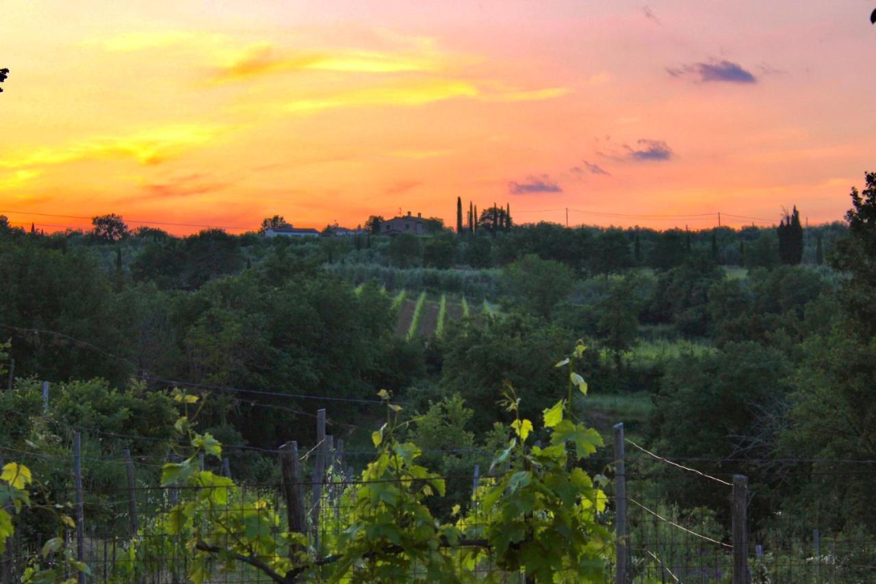 B&B Terre Toscane Ciggiano Kültér fotó